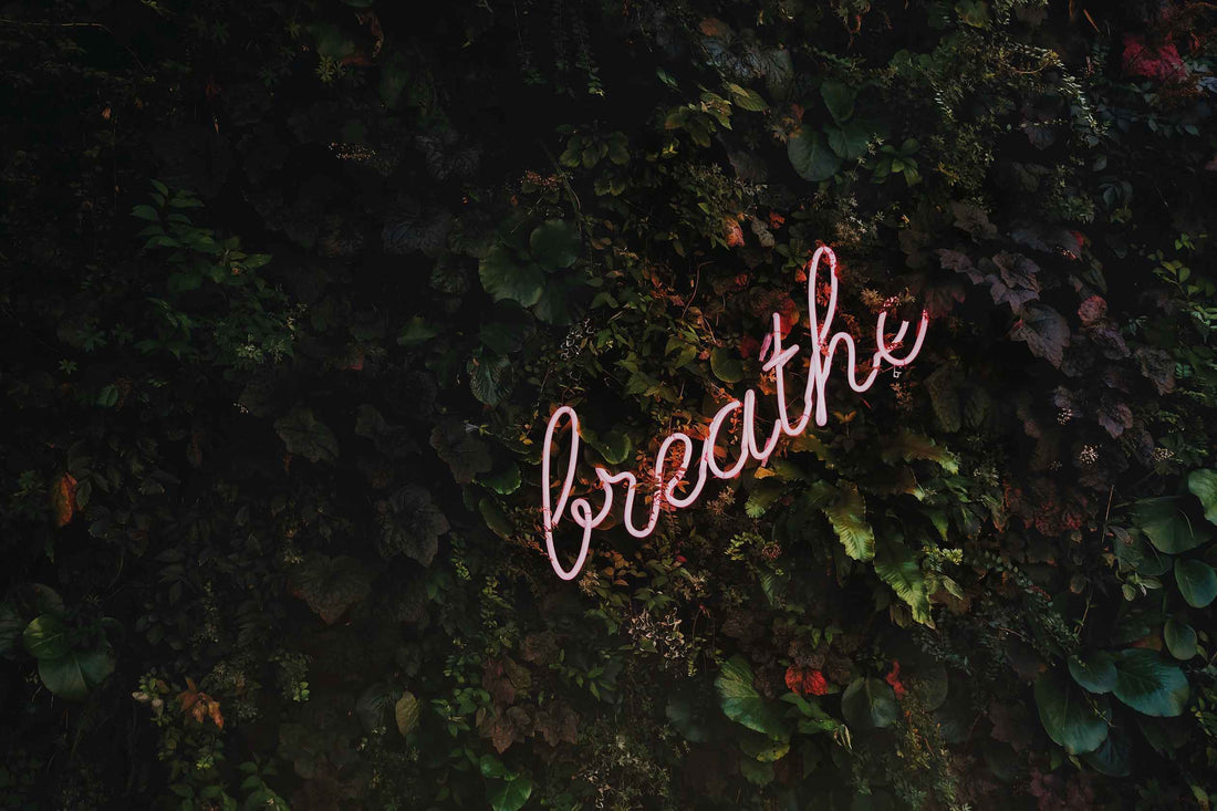 Stress-Relief Strategies from Neighborhood Barre Owner Kelly Phillips